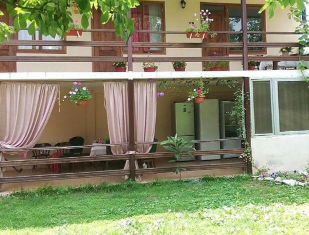 Эльза Hotell Gudauta Exteriör bild